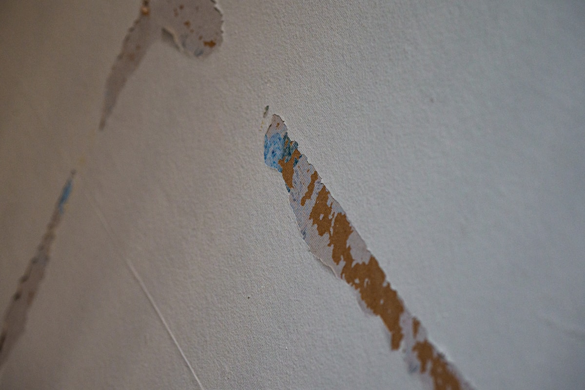 Storm Damage Repair service in St. Charles, MO